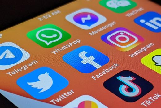 Milorad Šešum osuđen zbog prijetnji smrću Ani Lalić Hegediš