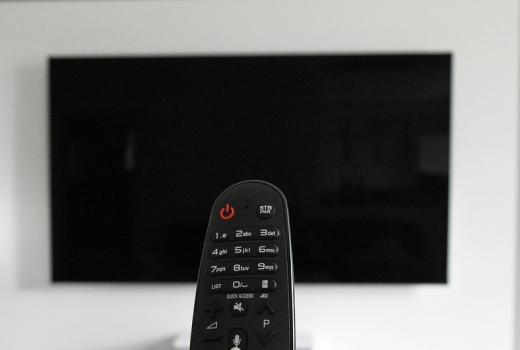 Ukinuta emisija „Bujica“ Velimira Bujanca